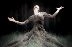 ���������10�꣺ý�徭������������̥����?