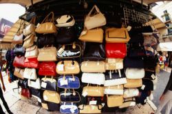 ��ֻ���Ա��������г�Ϊ��ͬ���ٻ�����