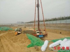 ���й�˾����.�߿�֣������Ŀ����Υ���б�Υ�����裿