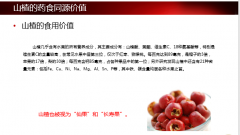 ��ʥ���񣢲�һ������߸ɺ�