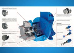 �Ϻ��궫���������ͷ����������ı�Ӯ���г�