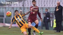 ͬ�ֳ�TLC������������Ԥ���Ƽ� ��׶���VSά����ǰհ